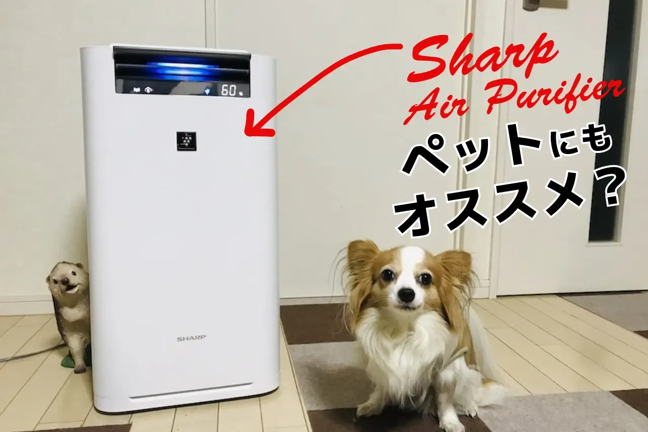 空気清浄機と犬