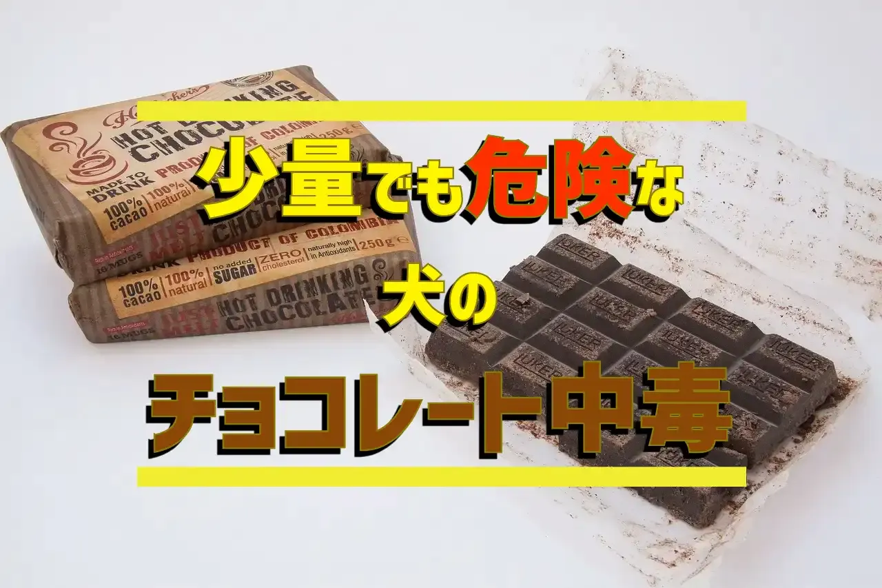 板チョコのイメージ画像