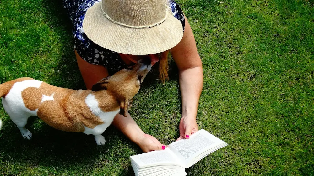読書を邪魔する犬