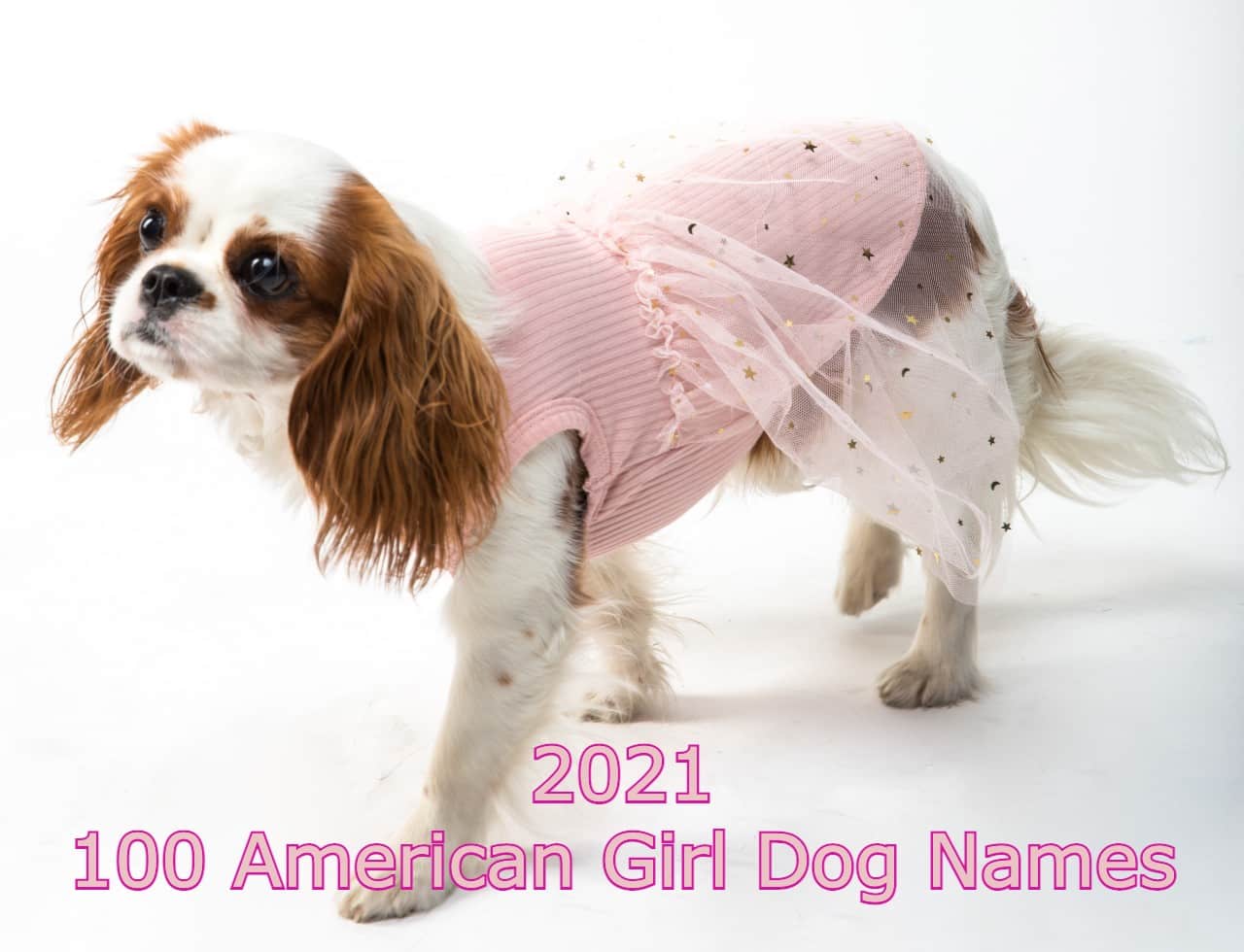 2021-100american-girl-dog-names
