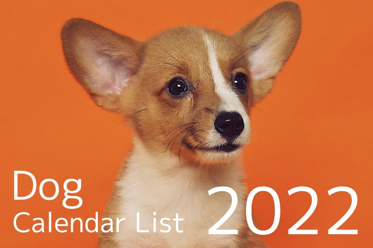 dog calendar list 2022