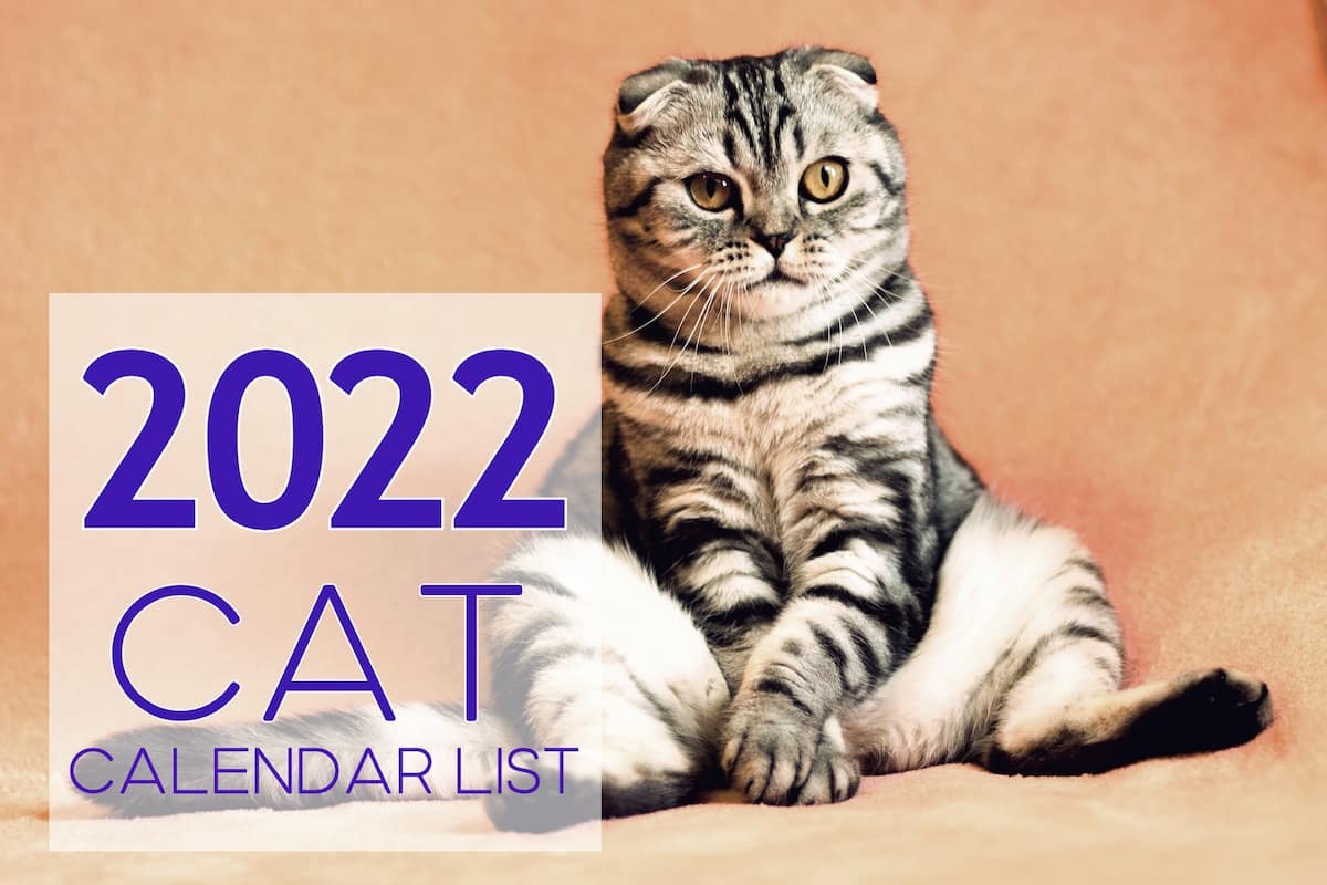 cat calendar list 2022
