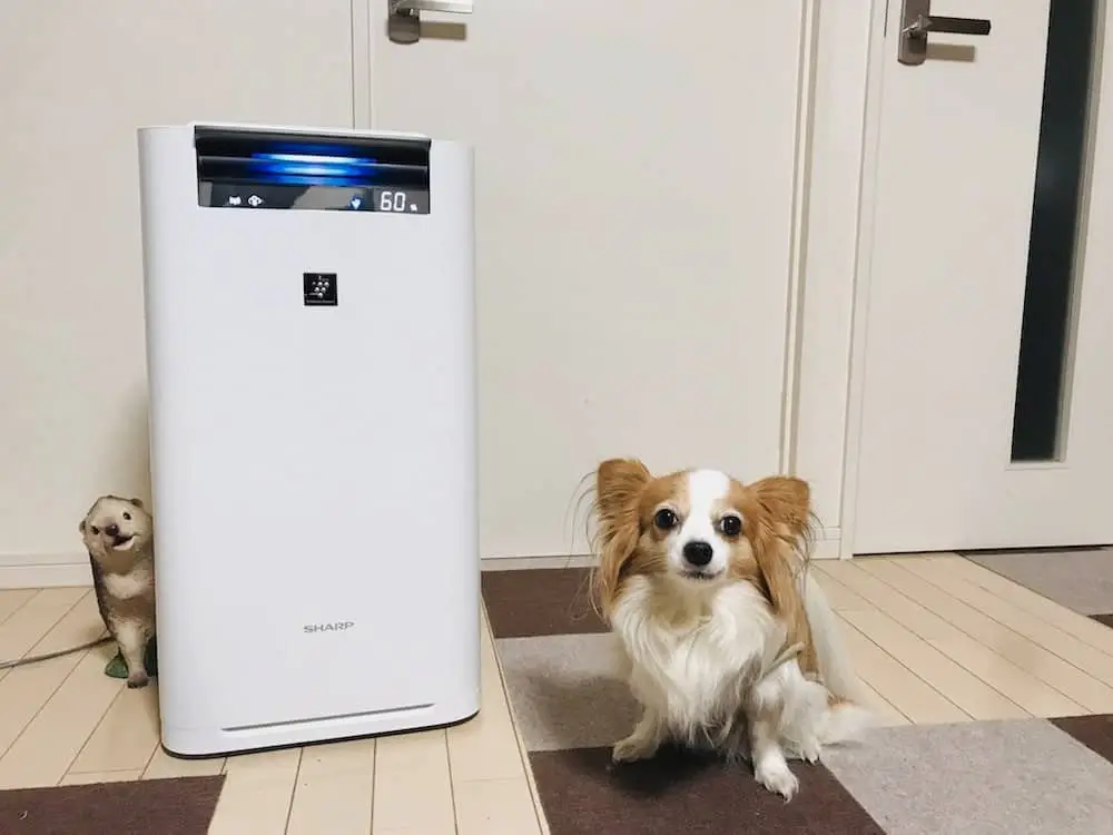空気清浄機と愛犬