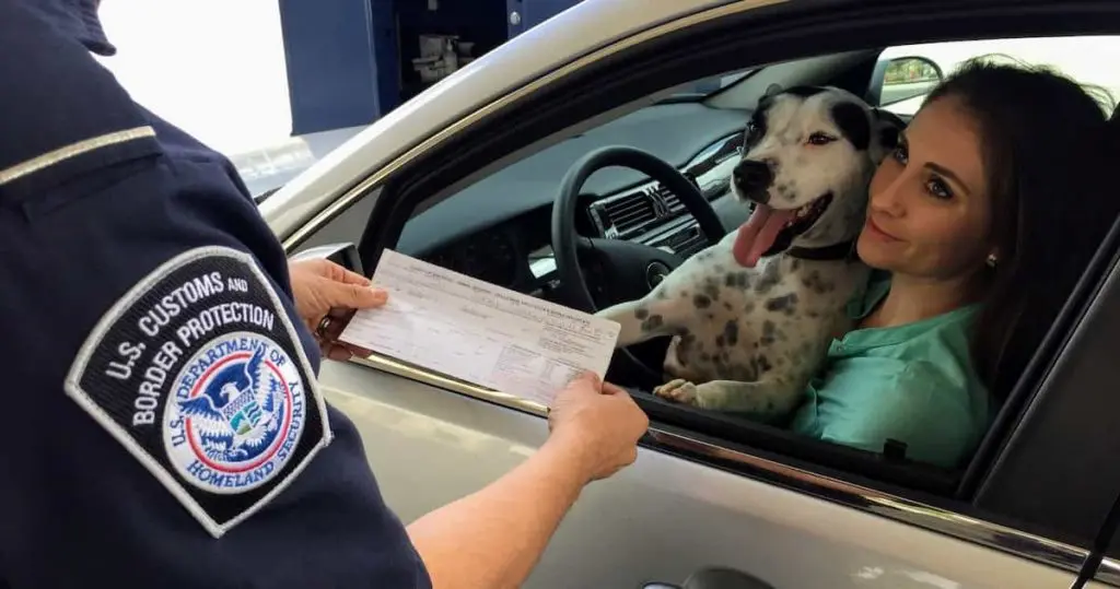 違反切符を切られる犬の飼い主