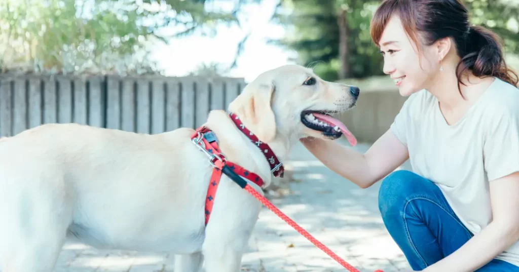 しゃがんで犬とコミュニケーションを取る女性