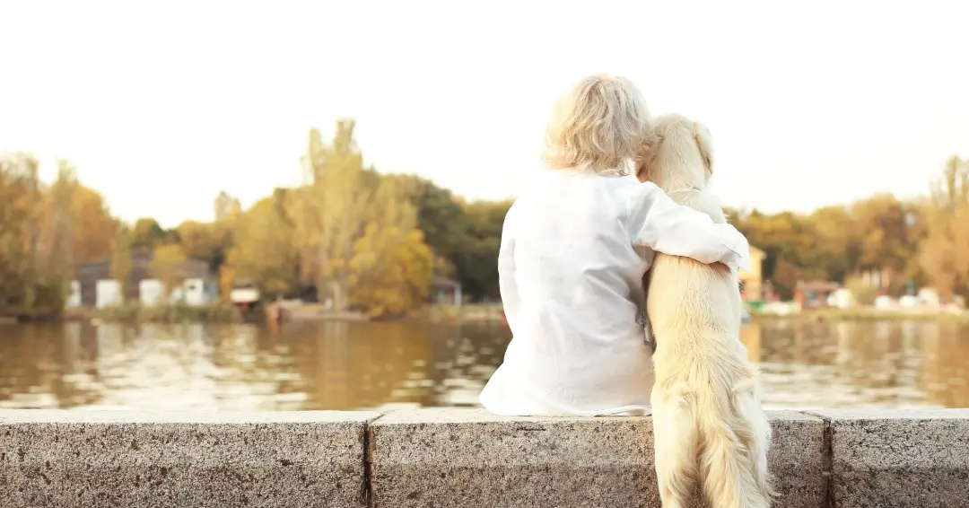 ゴールデンレトリバーと金髪女性の後ろ姿
