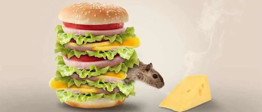 バーガーのチーズを盗むネズミ