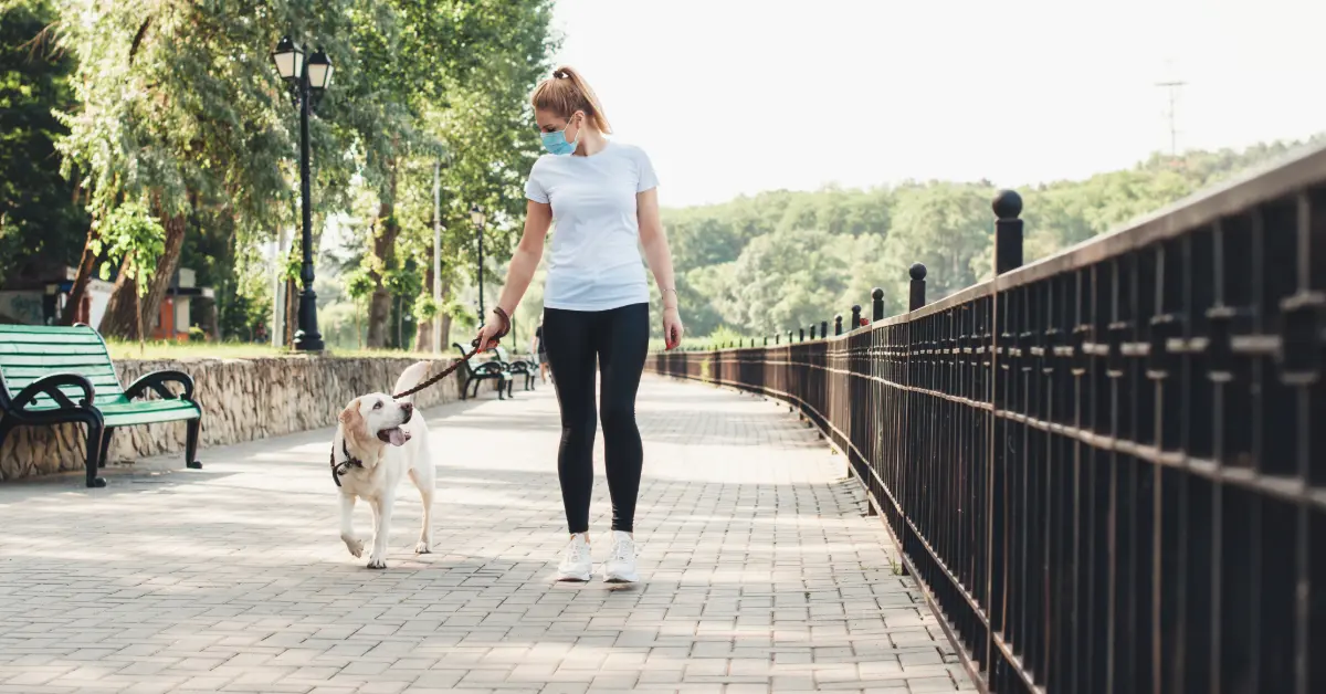 女性と散歩をする犬