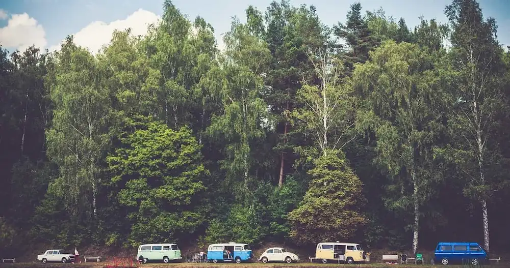 木の麓に駐車するキャンピングカーの列