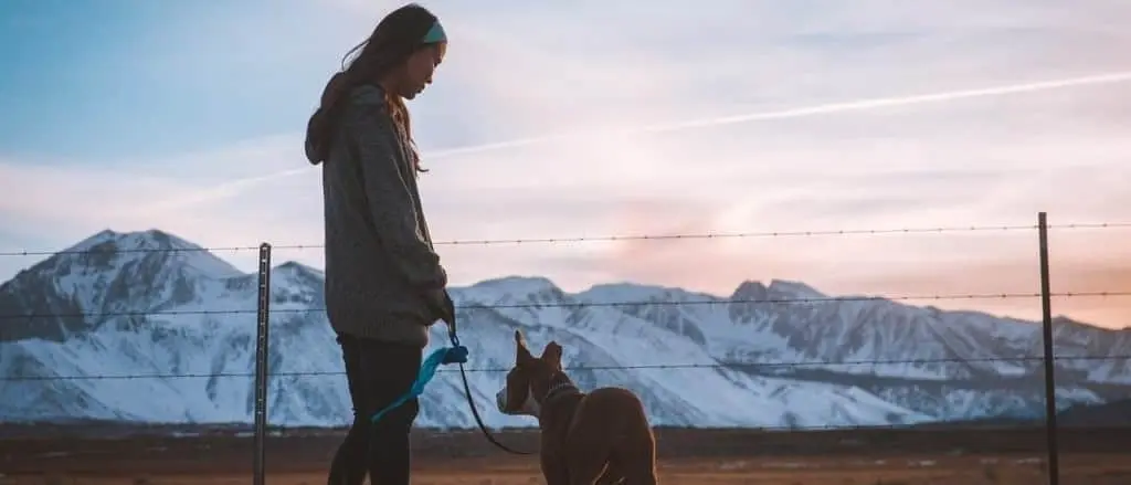 山脈を背に愛犬と散歩をする女性