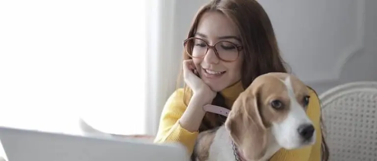 ビーグルと女性