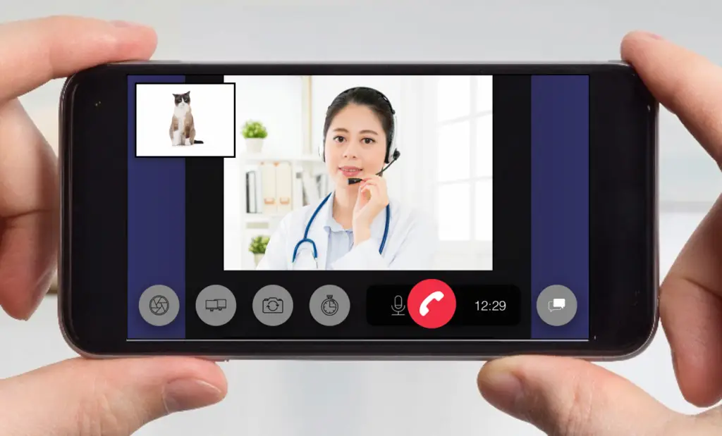 モバイル端末でモバイル問診を行っている様子