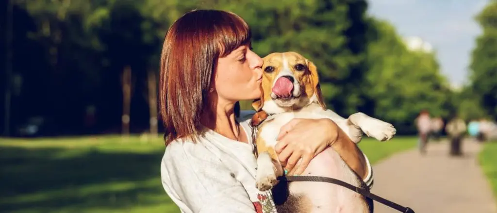愛犬にキスをする飼い主
