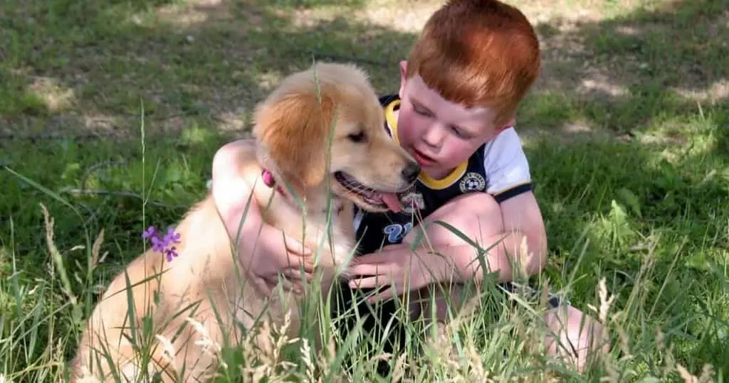 少年と対話するゴールデンレトリバー