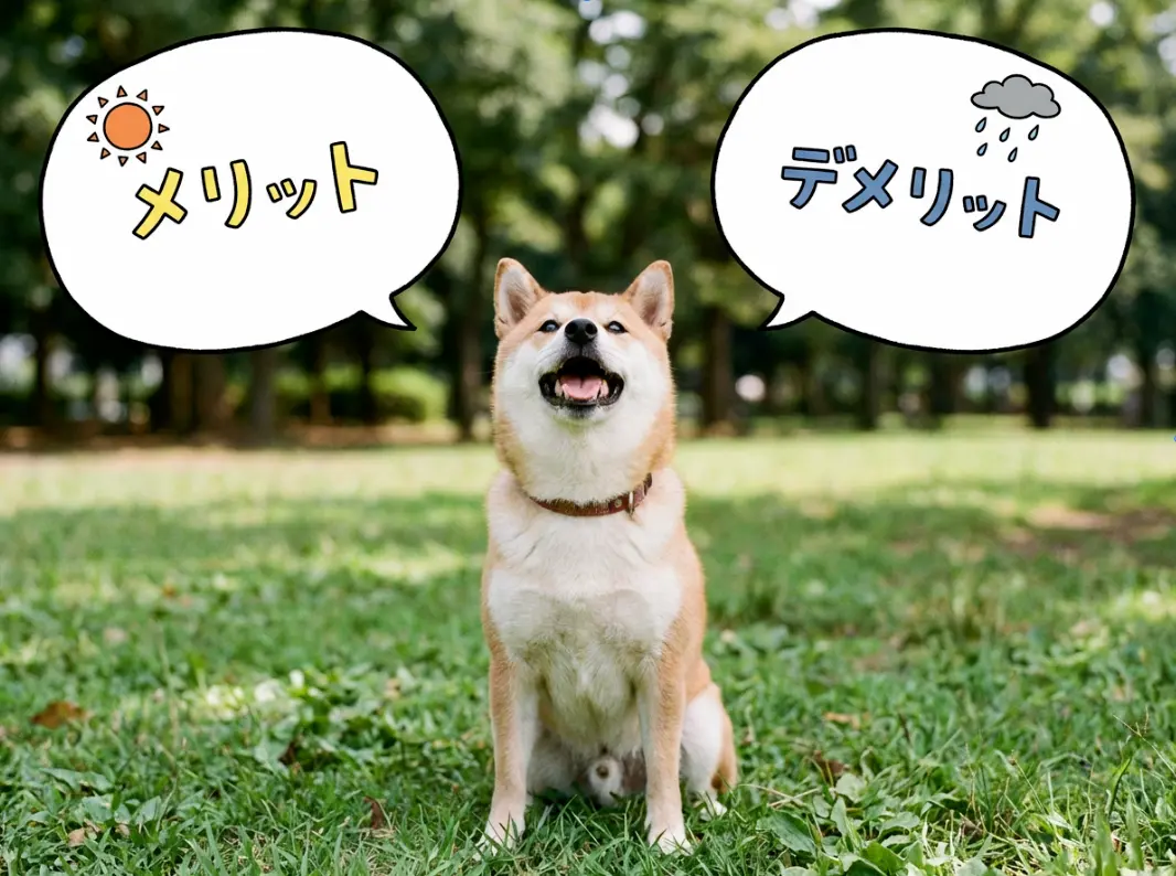 メリット・デメリットの文字と柴犬