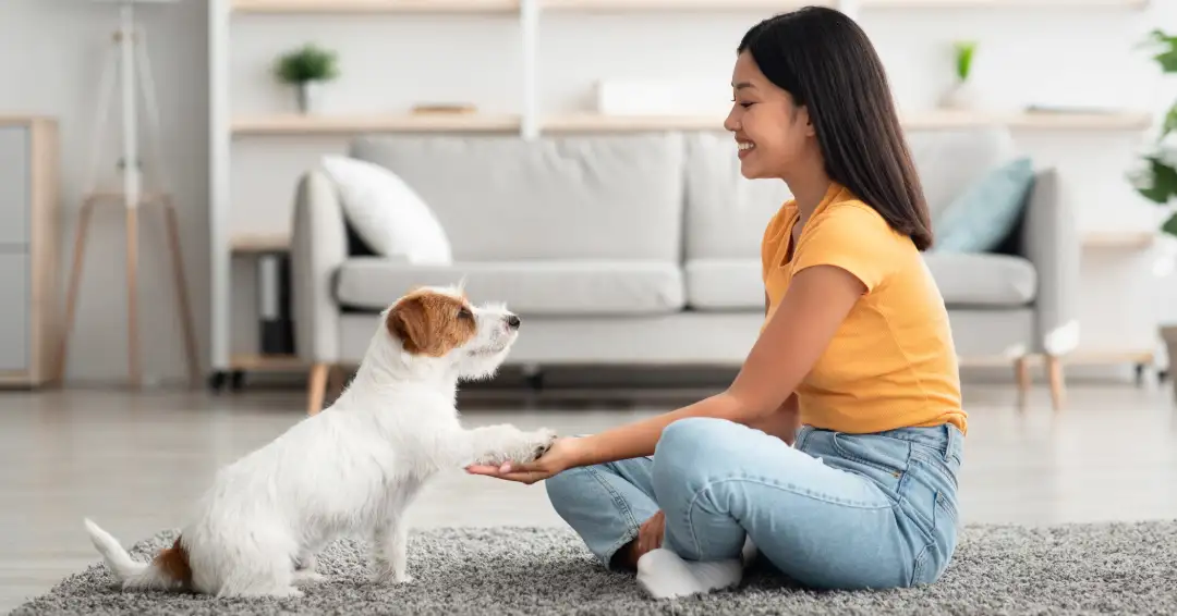 子犬と交流する少女