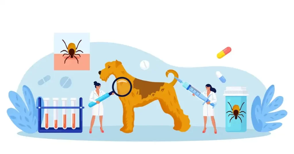 犬とマダニのイラスト