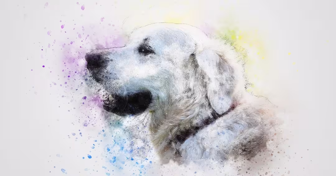 ゴールデンレトリバーの絵