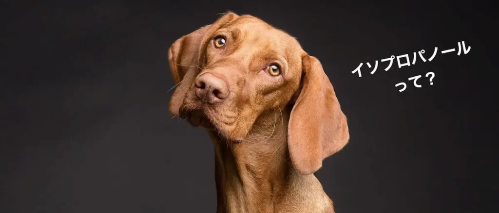 首を傾げる犬とイソプロパノールって？の文字