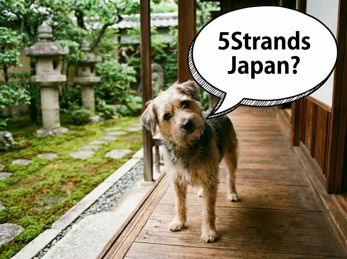 首を傾げる犬と「5Strands Japanとは？」の文字
