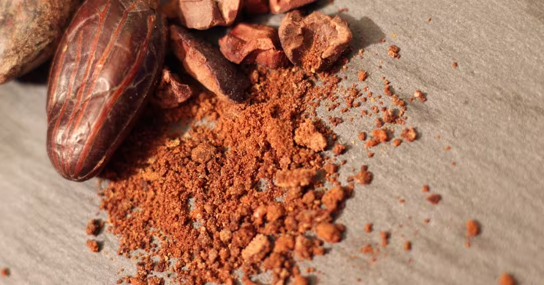 粉砕されたカカオ