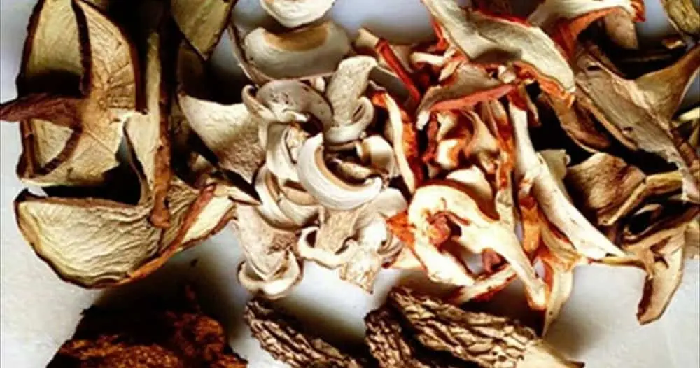 漢方薬の素材イメージ