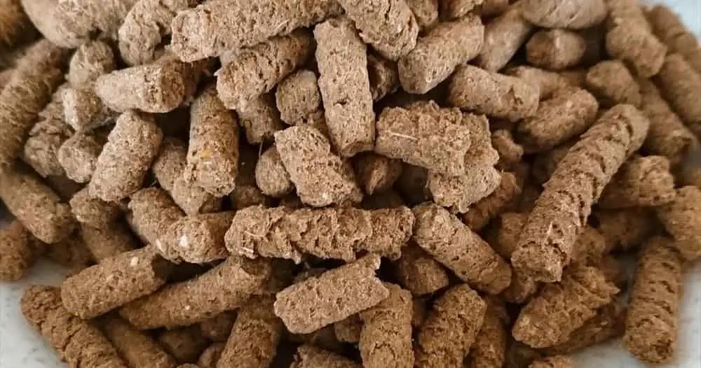 みらいのドッグフードのキブル