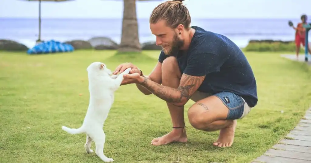 白い子犬と飼い主の男性